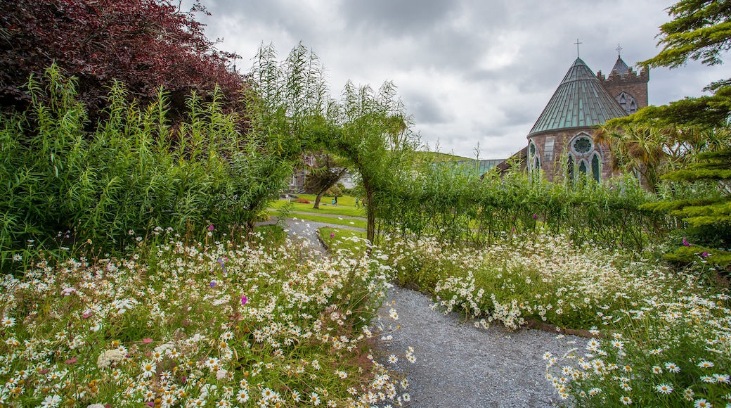 Dingle which includes wildflowers and a garden