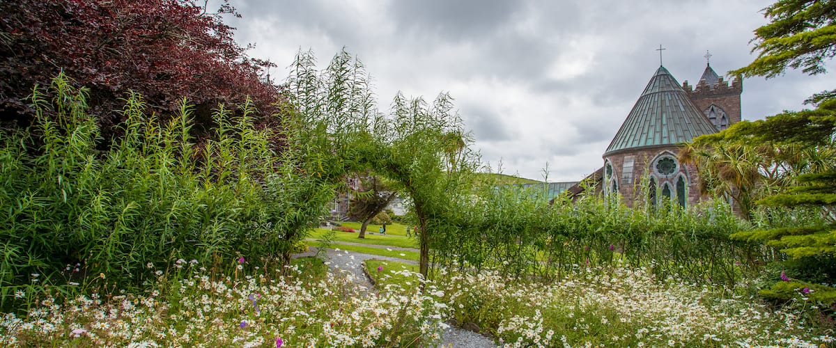 Dingle which includes wildflowers and a garden