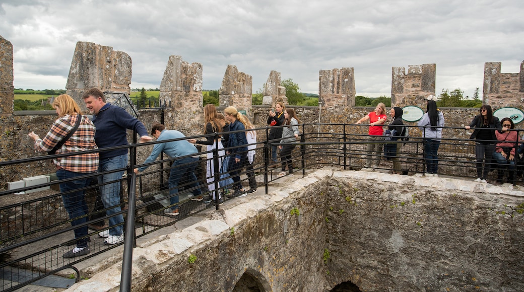 Blarney Stone