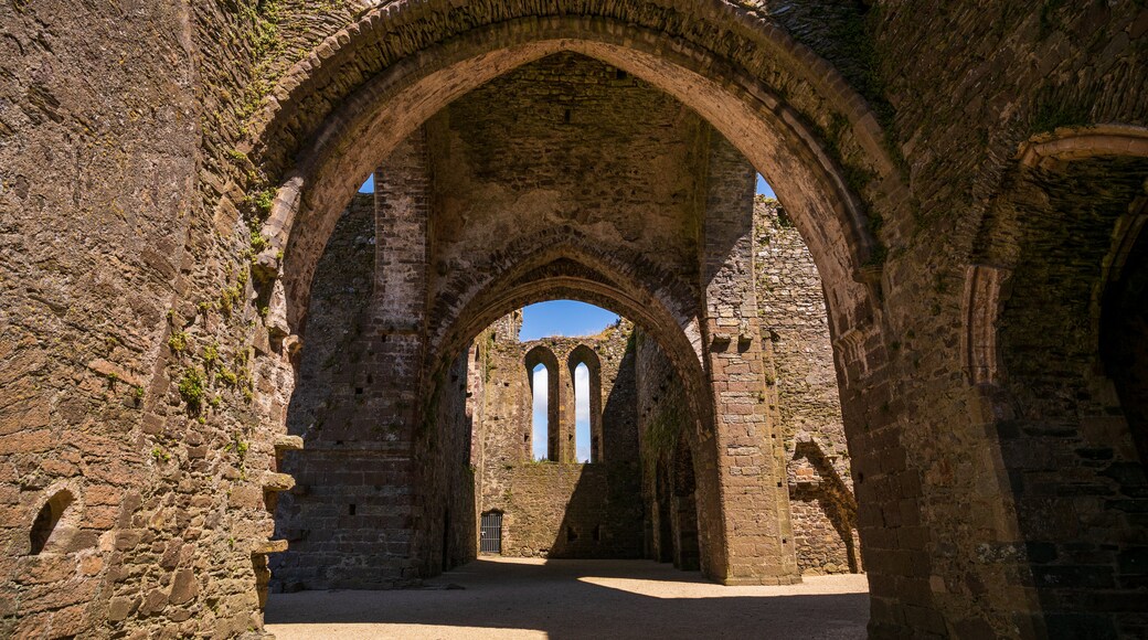 Dunbrody Abbey