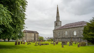 Cashel Cathedral featuring chateau or palace, heritage architecture and a cemetery