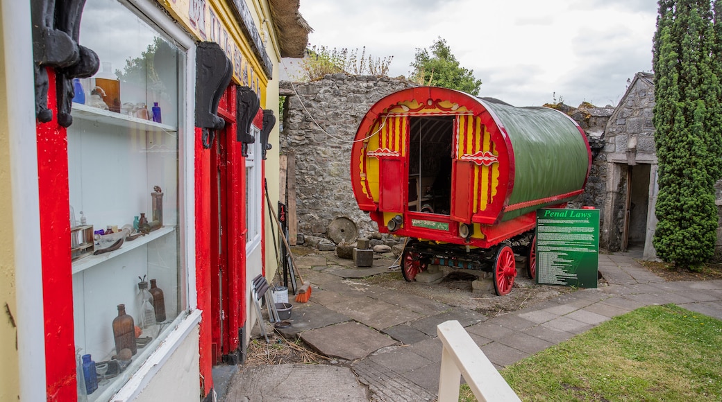 Cashel Folk Village