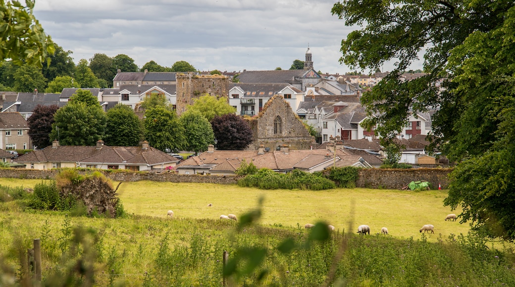 County Tipperary