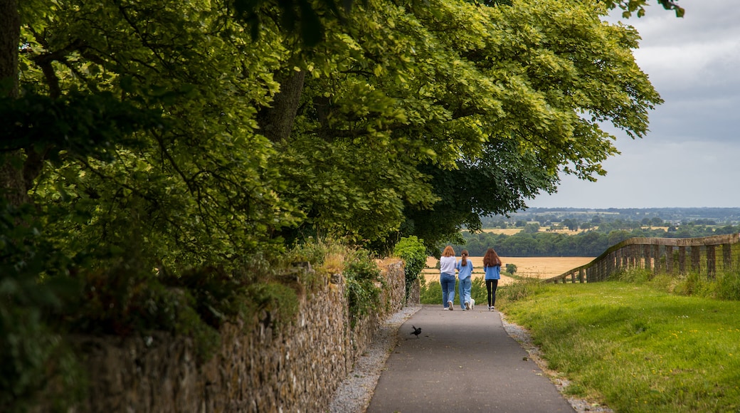 County Tipperary