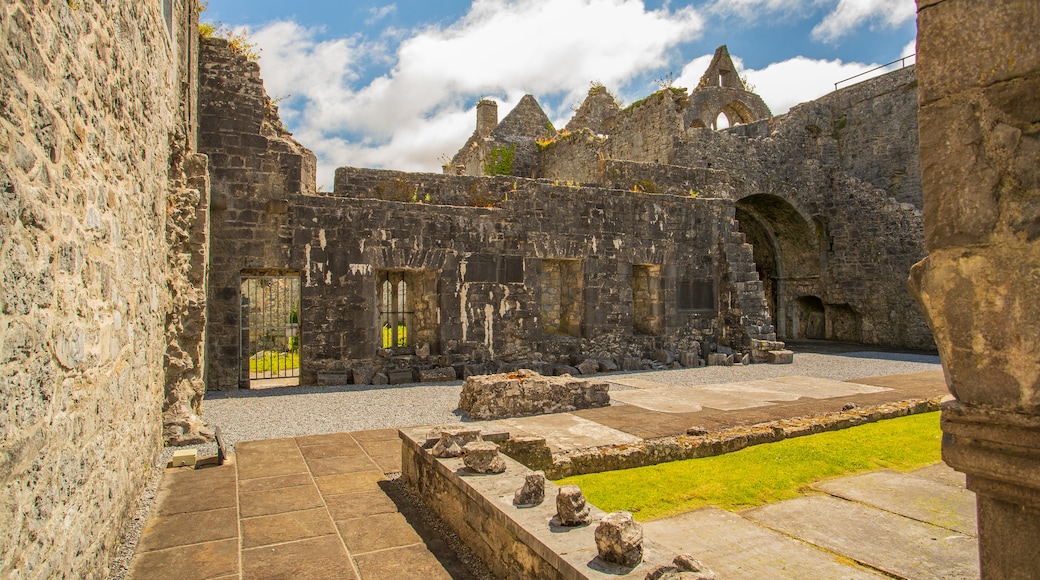 Ennis Friary