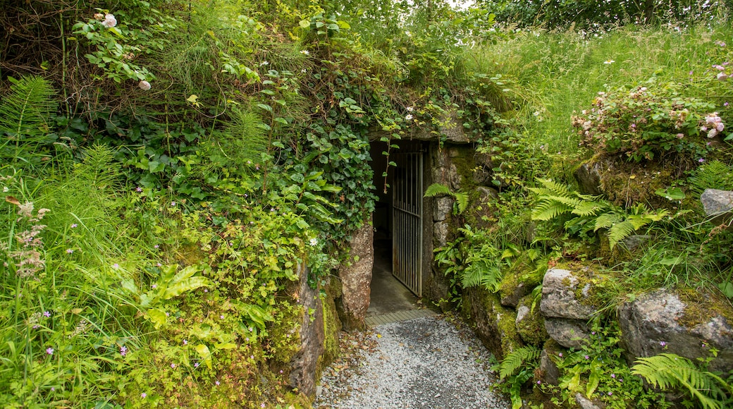 Doolin Cave