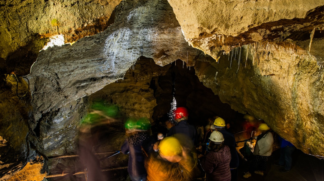 doolin cave tour