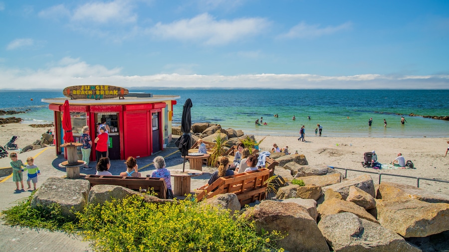 Galway featuring a sandy beach and general coastal views as well as a small group of people