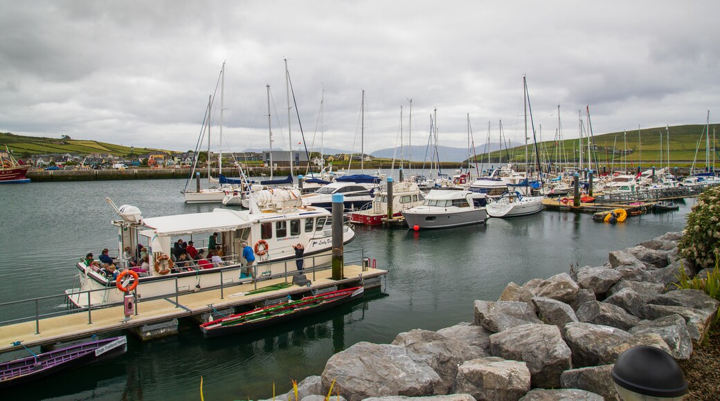 Dingle Harbour showing a bay or harbor