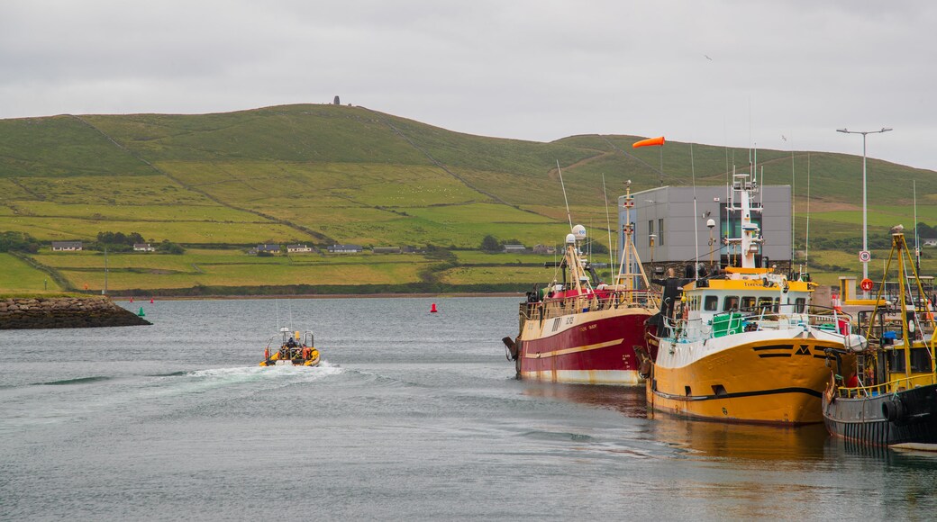 Dingle Harbour