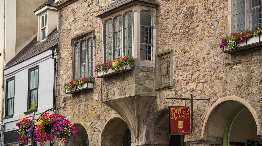 Rothe House showing flowers and heritage elements