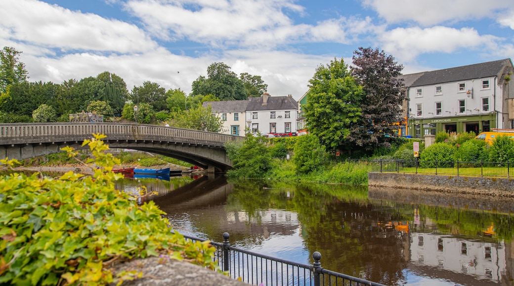 Kilkenny City Centre which includes a bridge and a river or creek