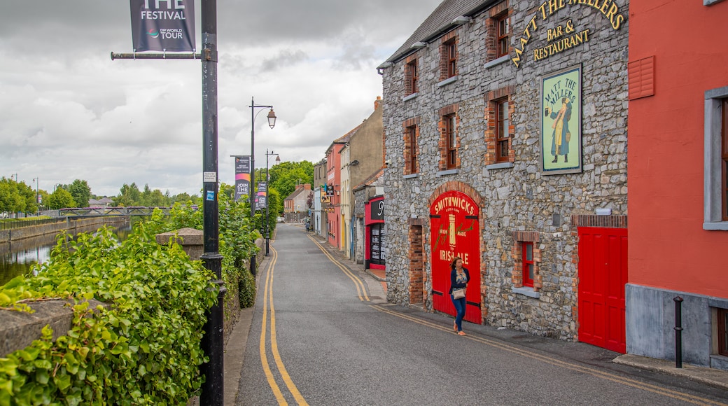 Kilkenny City Centre showing street scenes and heritage elements