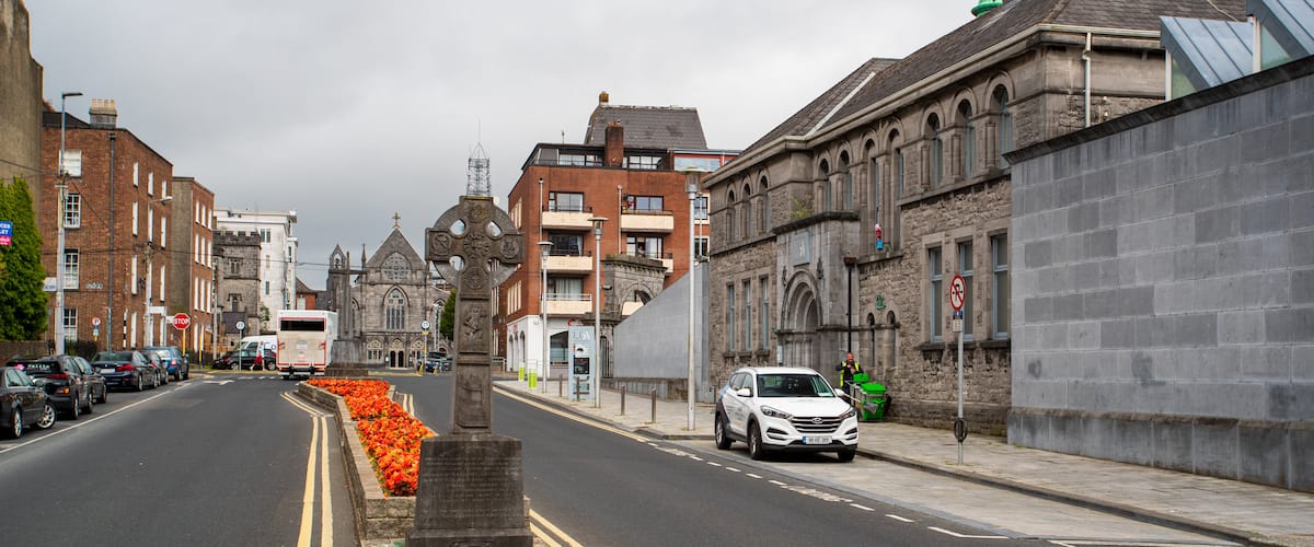 Limerick City Gallery of Art showing a city and flowers