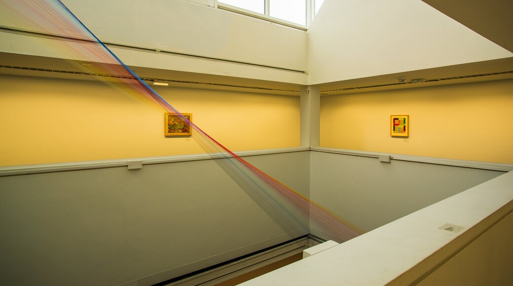 Limerick City Gallery of Art showing interior views and art