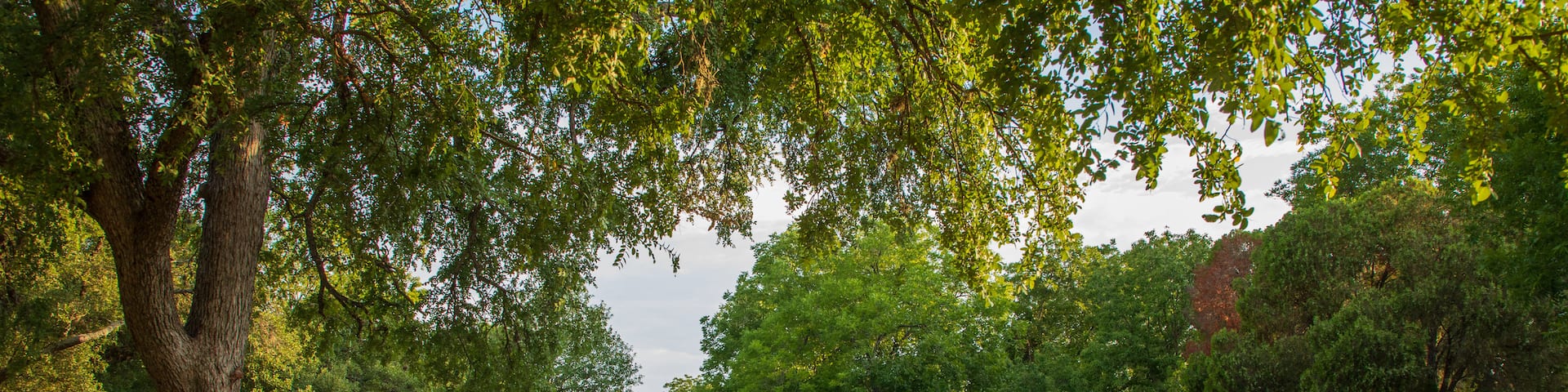 Allandale showing a small town or village