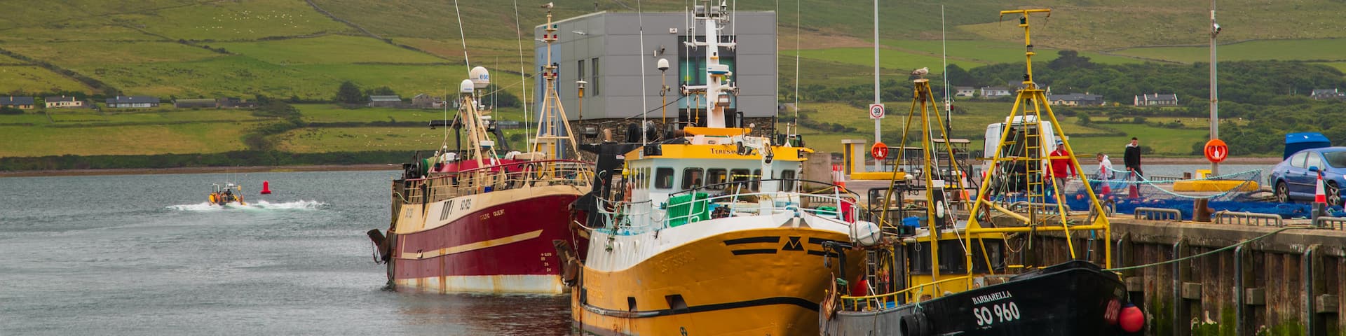 Dingle Harbour which includes a bay or harbor and boating