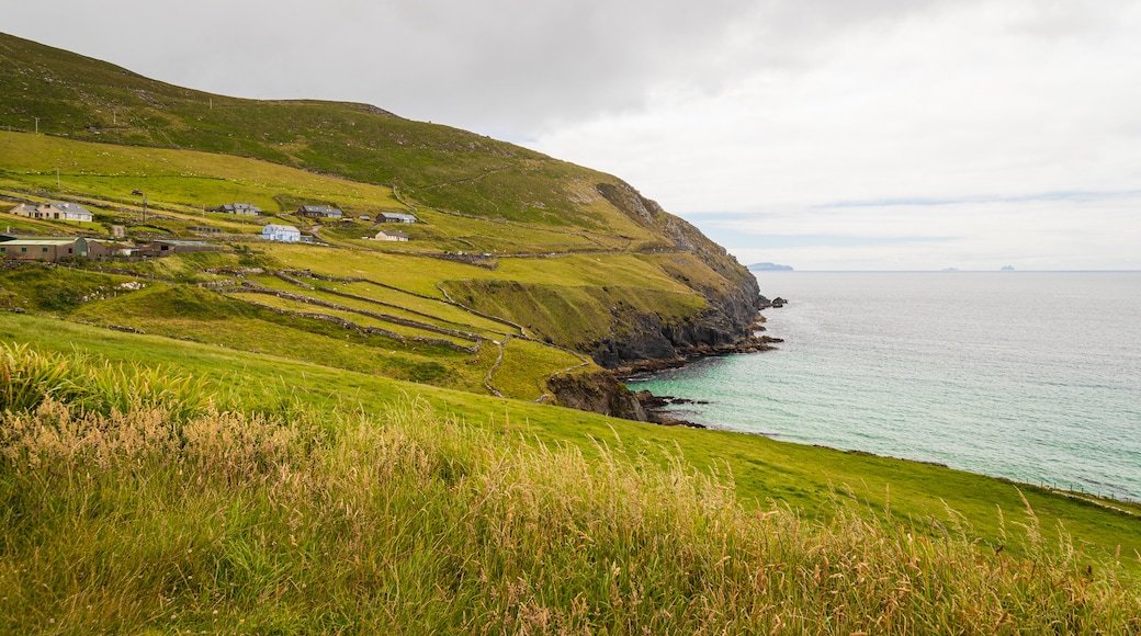 Dingle Peninsula showing rocky coastline and general coastal views