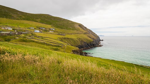Dingle Peninsula showing rocky coastline and general coastal views