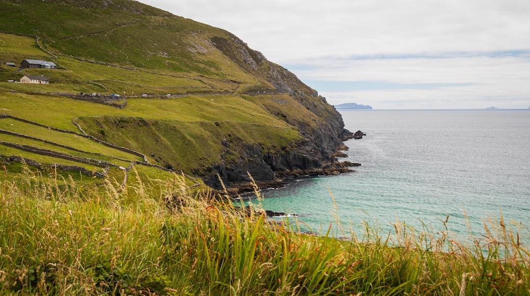 Dingle Peninsula featuring rocky coastline and general coastal views