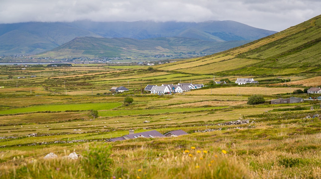 Dingle Peninsula