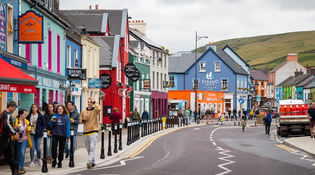 Dingle featuring street scenes