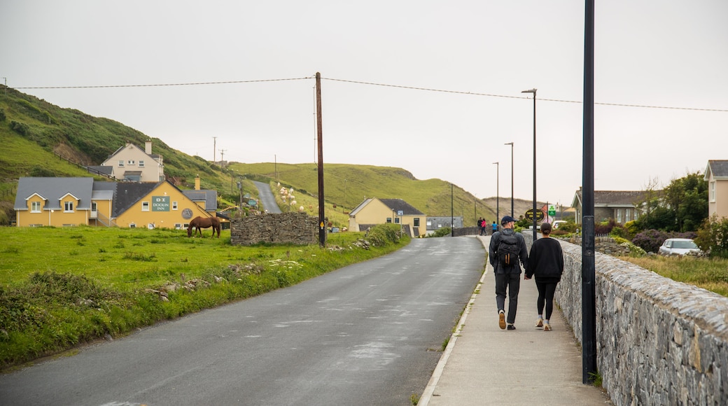 Doolin featuring street scenes and a small town or village as well as a couple