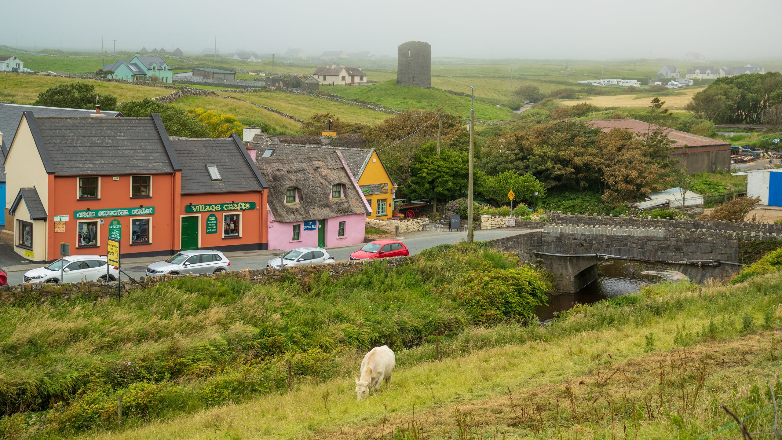 Doolin which includes a small town or village, landscape views and land animals