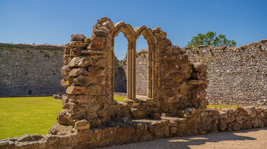 Dunbrody Abbey