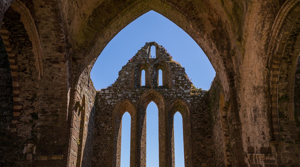 Dunbrody Abbey