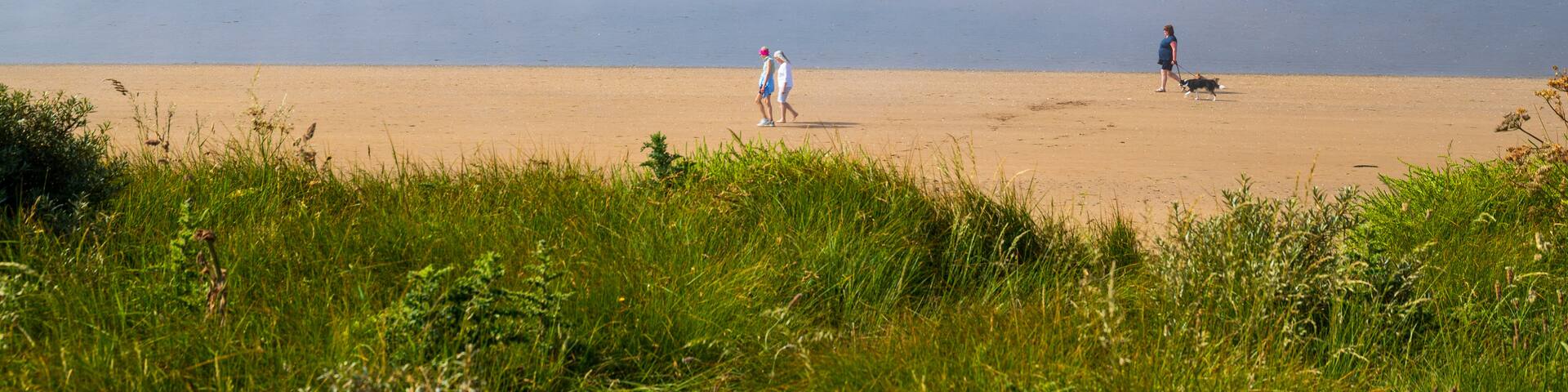 Duncannon Beach showing mist or fog, a sandy beach and general coastal views