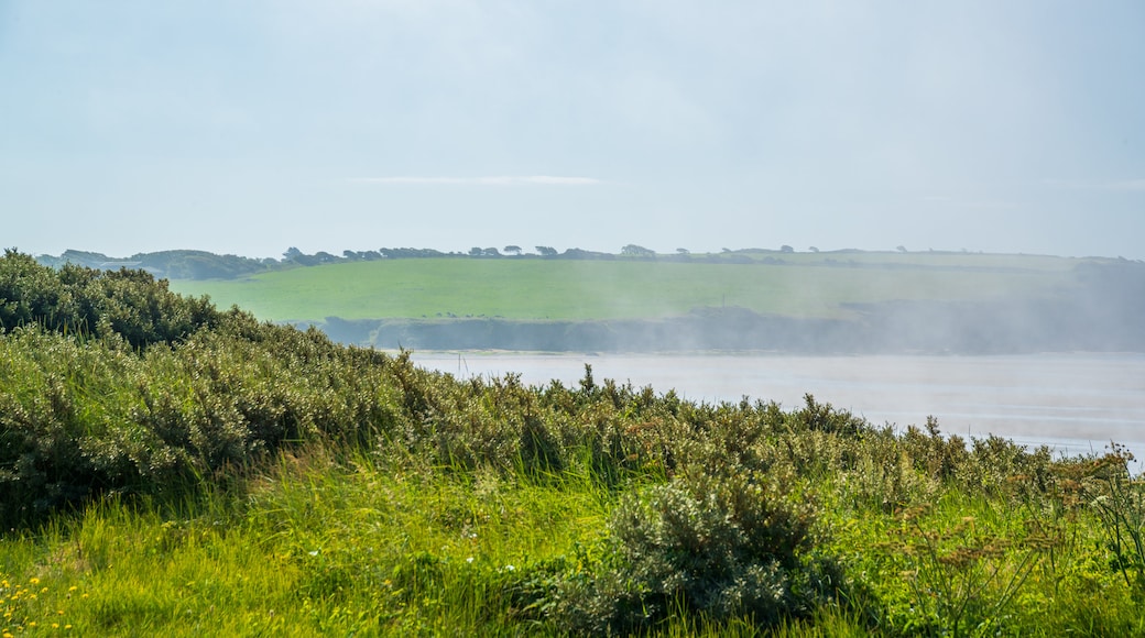 Strand von Duncannon