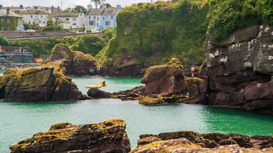 Dunmore East which includes rocky coastline and general coastal views