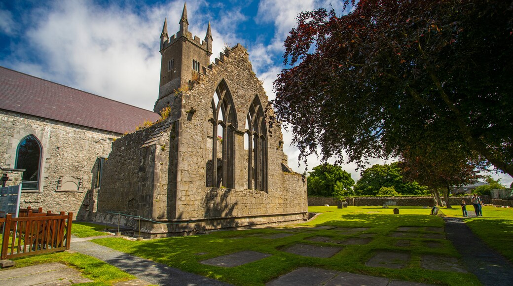 Ennis Friary