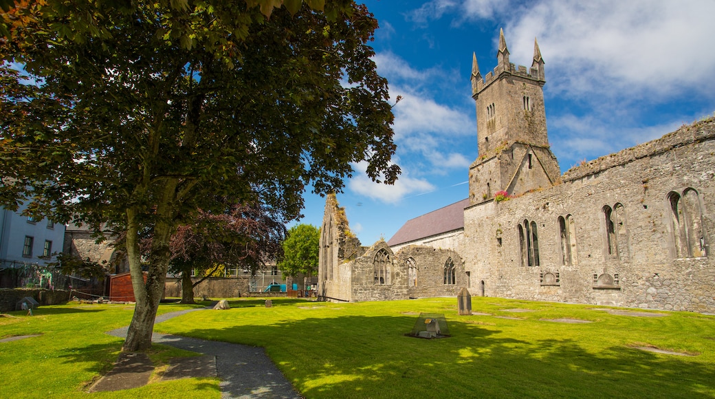 Ennis Friary