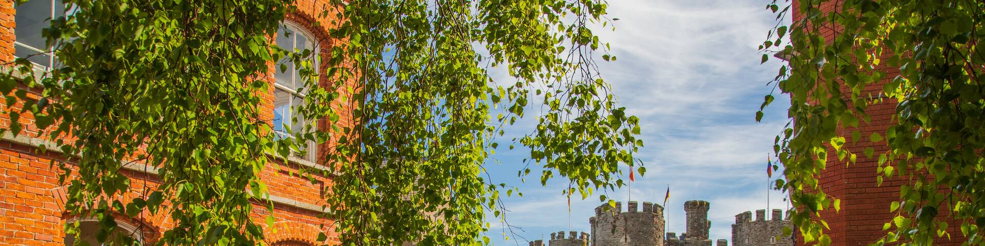 Enniscorthy Castle featuring a castle and heritage architecture