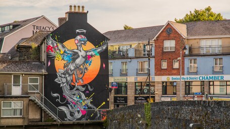 Enniscorthy featuring outdoor art