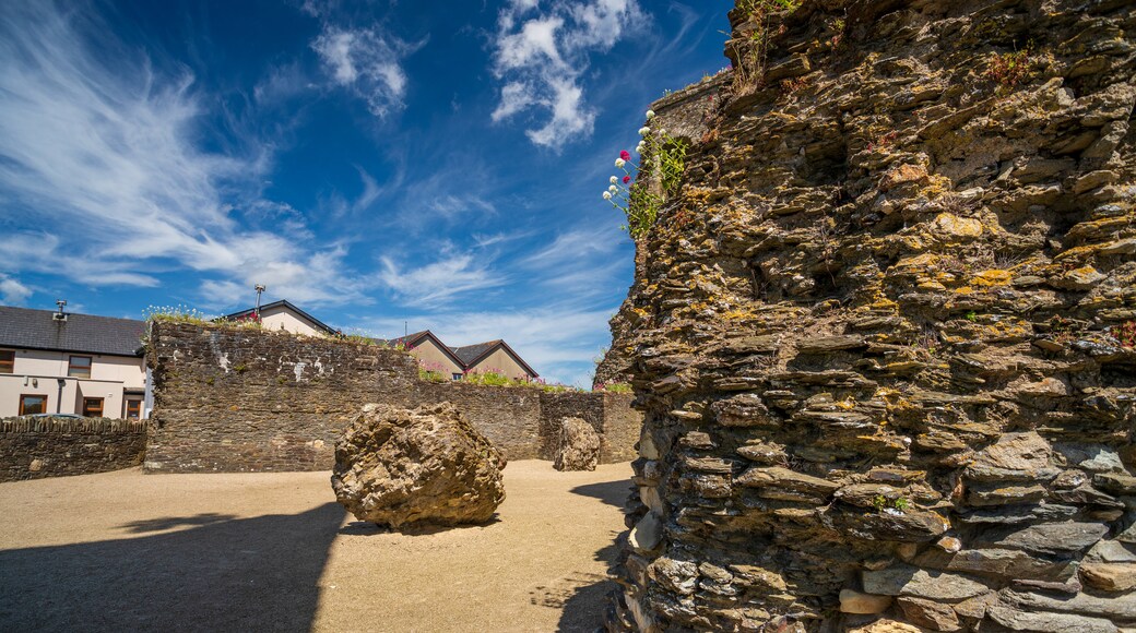 Ferns Castle featuring heritage elements