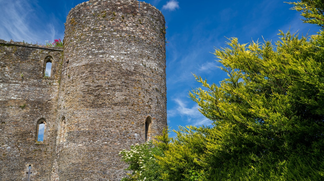 Ferns Castle featuring building ruins, heritage architecture and chateau or palace