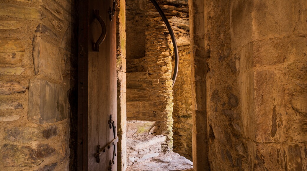 Ferns Castle showing heritage elements and interior views