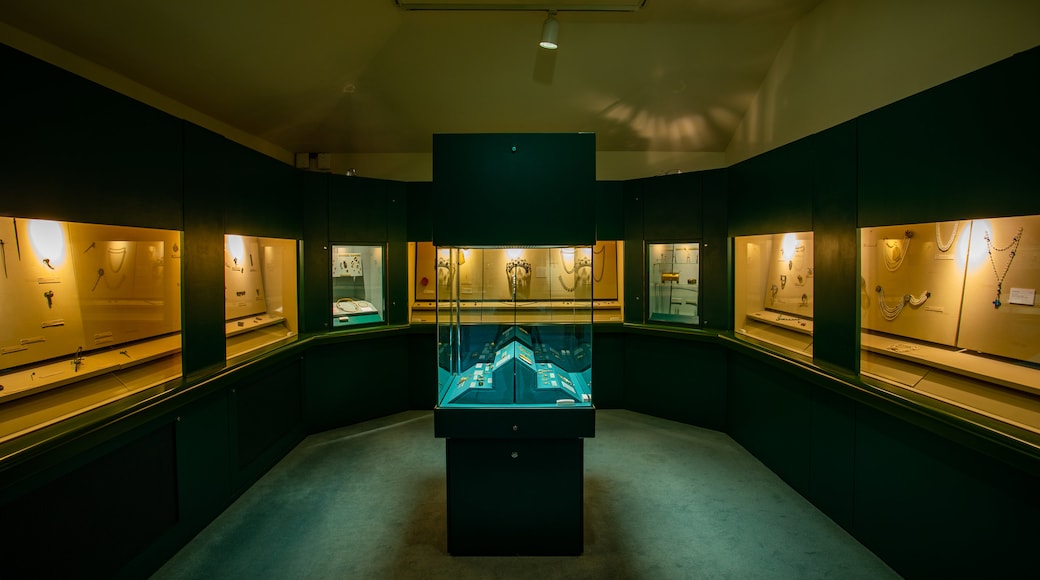 Hunt Museum showing interior views