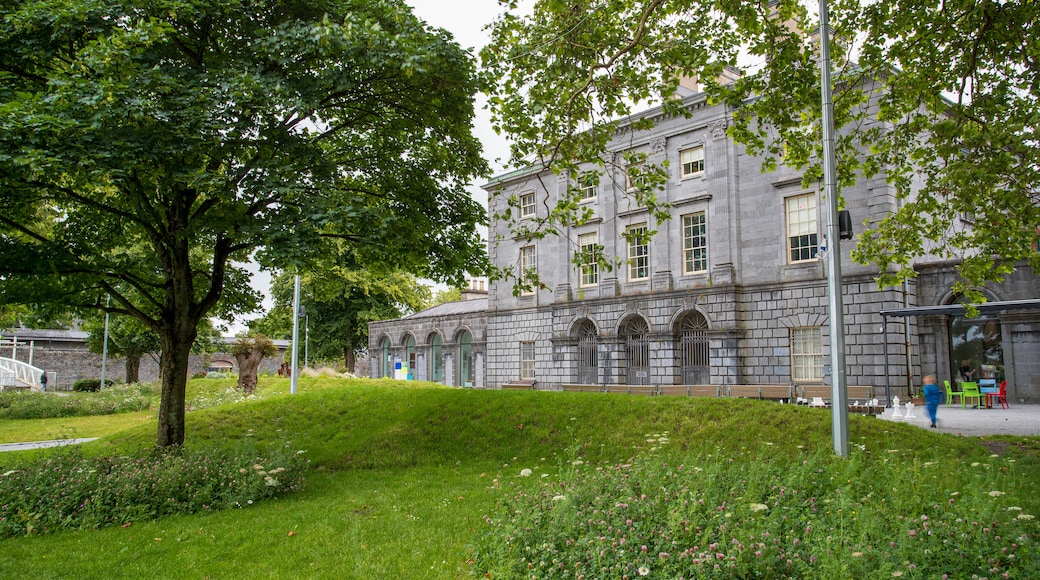 Hunt Museum featuring a park and heritage architecture