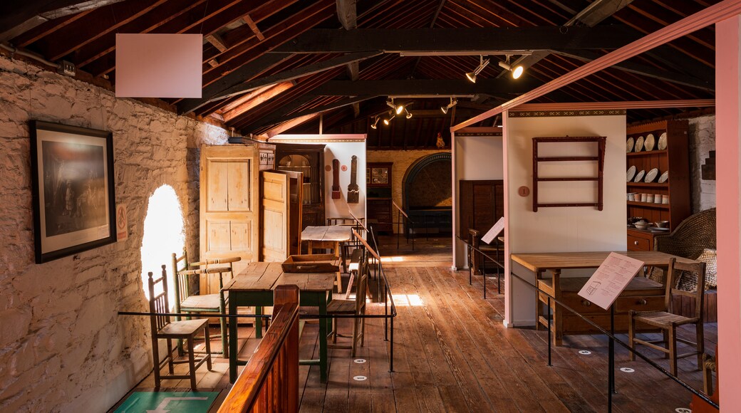 Irish Agricultural Museum featuring heritage elements and interior views