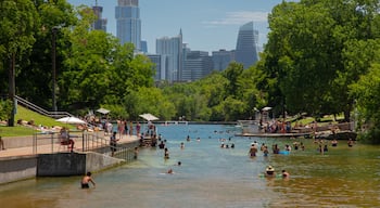 Barton Springs Pool which includes a river or creek and swimming