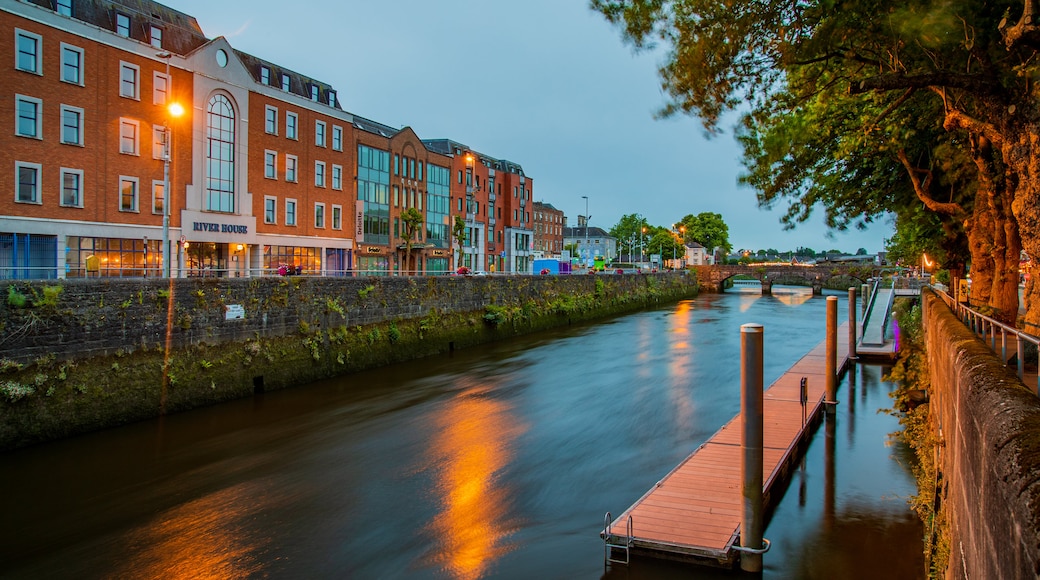 Centro de la ciudad de Limerick