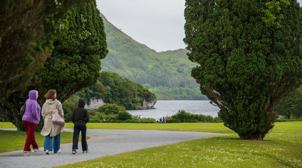 Muckross