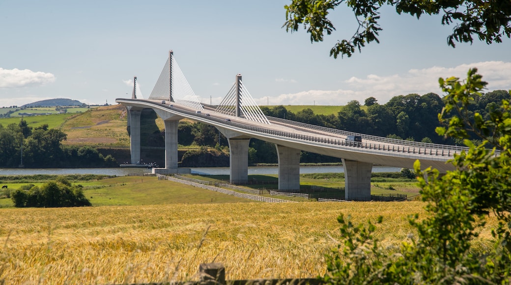 hilary murphy travel new ross