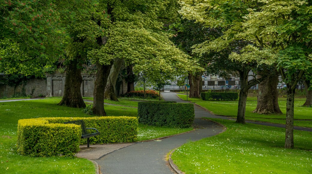 People\'s Park which includes a garden