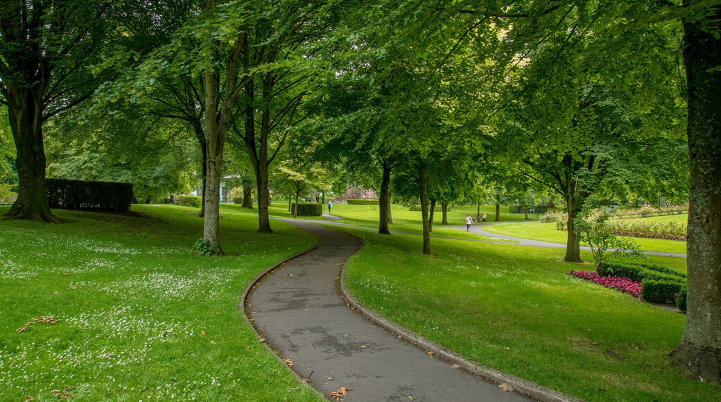 People\'s Park which includes a garden