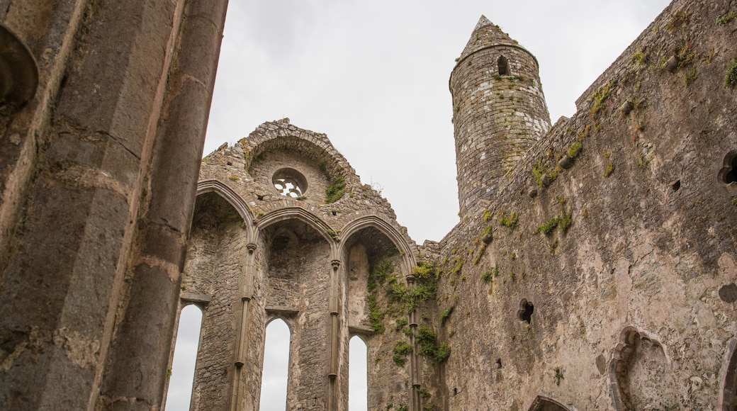 Rock of Cashel showing chateau or palace, heritage architecture and a ruin